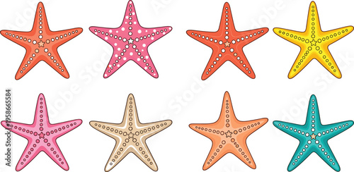 Set of Colorful Starfish Illustrations Marine Sea Star Collection with Different Colors Isolated on White Background Ocean Life Vector Design Elements