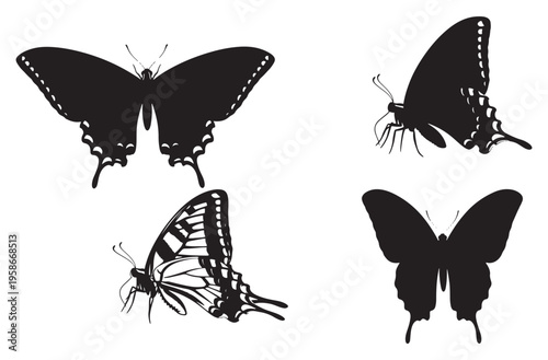 Photos Assortment of four elegant black silhouette swallowtail butterflies showcasing