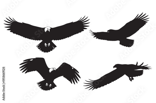 Eagle silhouette set featuring bald eagle symbols in flight and landing poses with majestic wingspan and sharp talons icons for wilderness wildlife and predatory bird design themes