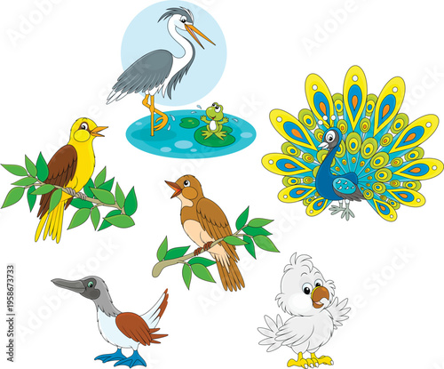 Vector collection of heron and frog, peacock, oriole, nightingale, eagle nestling and solan