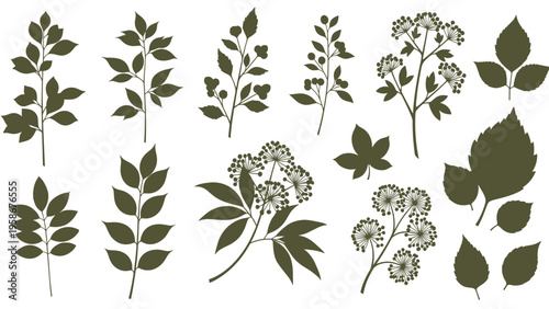 Detailed silhouettes of various tree leaves and botanical branches arranged in a collection for nature inspired design projects.