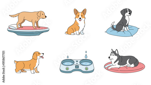 Set of six cute dogs of different breeds like Labrador, Corgi, and Husky along with accessories like a bed and water bowl on a white area.