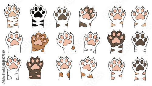 Assortment of cute cat and dog paws in different colors and patterns showcasing diversity in feline and canine feet.
