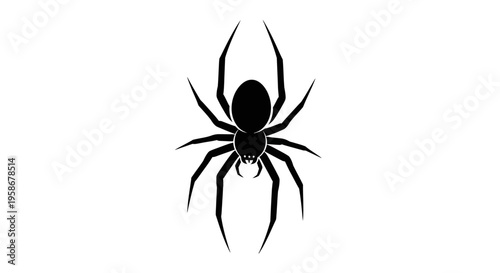 Simple black widow spider icon displayed centrally on a plain white.