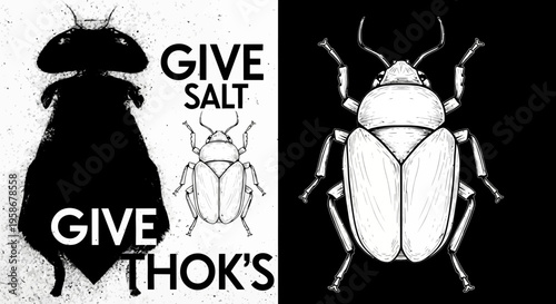 Diptych graphic showing different beetle illustrations with dark.