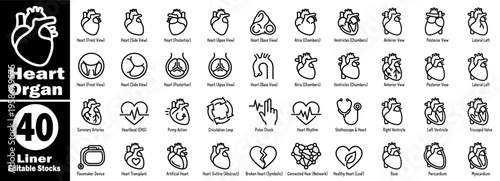 Heart organ line icon set. Human heart organ. Collection showcasing various anatomical views, medical cardiology illustrations showing atrium, ventricle, and artery detail vector illustration.