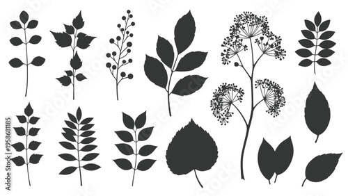 Collection of black silhouettes of different tree leaves and plant branches including compound and simple leaf shapes for nature designs.