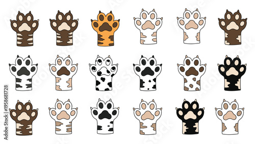 Colorful collection of cat paw illustrations featuring different fur patterns such as tabby spotted and solid fur colors.