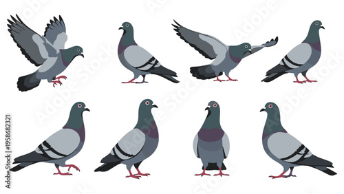 Various pigeon character designs shown in different stances such as flying, profile views, and front-facing for bird-themed graphic art.
