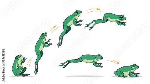 Diagram showing the sequence of a frog jumping through various stages from takeoff and mid-air flight through to landing.