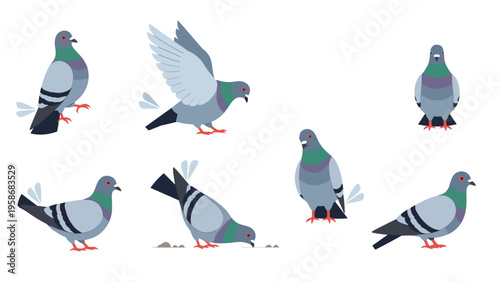 Collection of pigeons shown in active poses such as flying, landing, and pecking on the ground for wildlife, nature, and urban art.