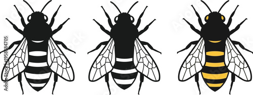 Illustration of three bees with distinctive stripes