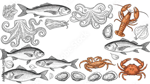 Hand drawn vintage style illustration features a variety of seafood including different fish species, octopus, lobster, crab, and oysters.