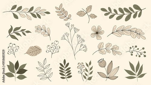 Set of hand drawn leaves and branches in earthy tones of green and brown provides a natural botanical aesthetic for decorative design.