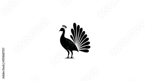Elegant black peacock silhouette, stylized bird graphic with fanned tail, minimalist icon design element on white background