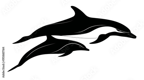 Elegant black and white vector illustration featuring an adult dolphin and a juvenile dolphin, depicting marine wildlife and ocean life.