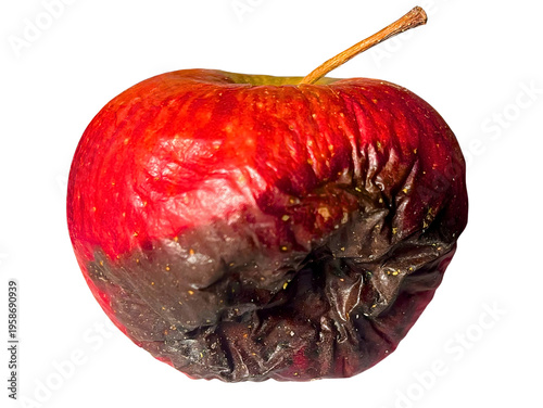 Canvas Print Rotten red apple with wrinkled skin and organic decay on transparent background