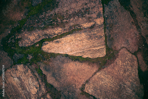 Overhead close‑up of a weathered stone pathway with vivid green moss filling the gaps, showcasing earthy tones, organic textures, and abstract patterns shaped by nature over time.
