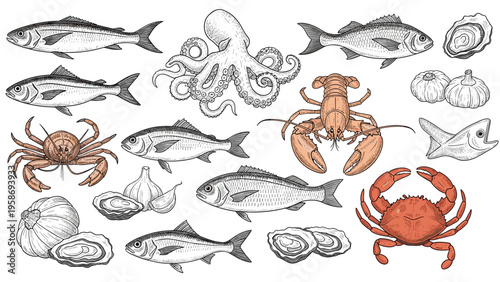Detailed collection of seafood including various fish species lobster crab octopus oysters and seasoning ingredients.