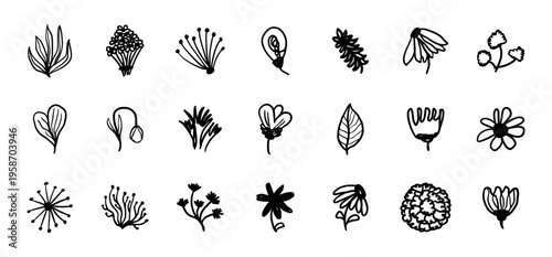 Hand drawn botanical set with flowers, leaves and wild plants in minimalist line style. Simple floral doodle collection perfect for patterns, branding, packaging and modern design.