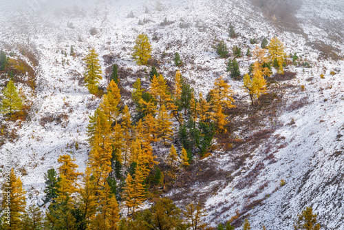 Landscape of the Altai Mountains in Siberia, Altai Republic, Russia