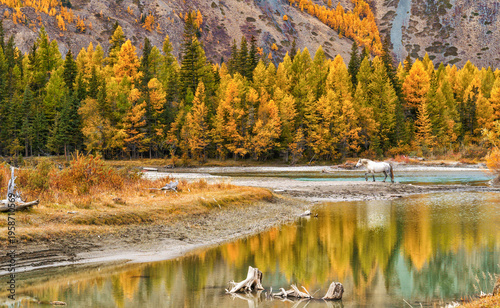 Landscape of the Altai Mountains in Siberia, Altai Republic, Russia