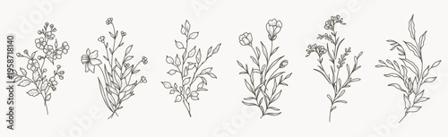 Minimal drawn floral botanical line art. Bouquets. Trendy elements of wild and garden plants, branches, leaves, flowers, herbs. Vector illustration for logo, tattoo, wedding invitation, save the date