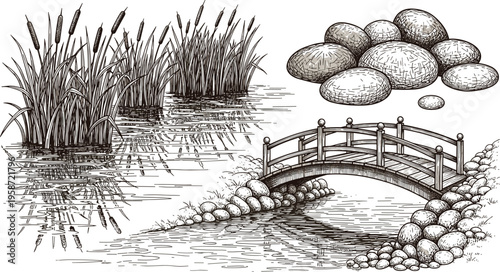 Vintage Hand Sketched Garden Pond Landscape Vector Set Featuring Arched Footbridge River Stones and Reeds Reflection for Landscape Design and Wellness Graphic Designs