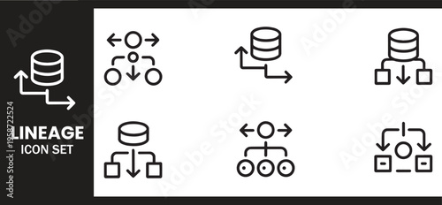 Database Lineage and Data Distribution Icon Set for Information Architecture