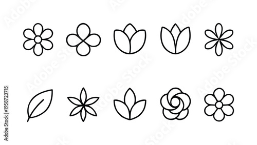 Collection of simple, minimalist line art icons representing various flowers and a leaf