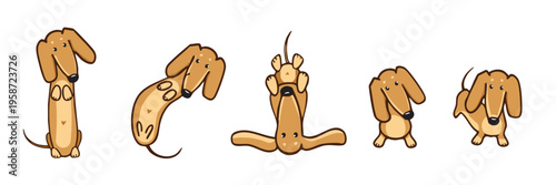 Cute dachshund character set with funny poses in a playful hand-drawn doodle illustration style