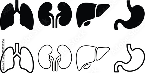 Comparison of filled and outlined human internal organ illustrations