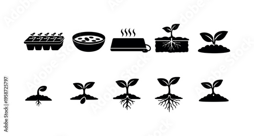 Seedling growth stages icons showing germination and root development in soil