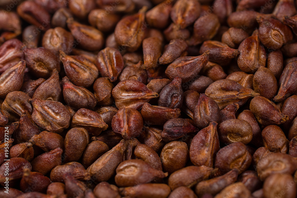 Fototapeta premium grape seeds
