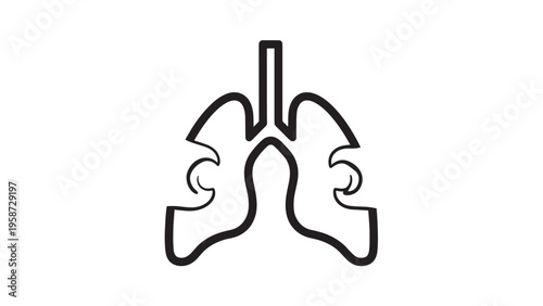 Medical Illustration of Human Lungs and Respiratory System Anatomy.