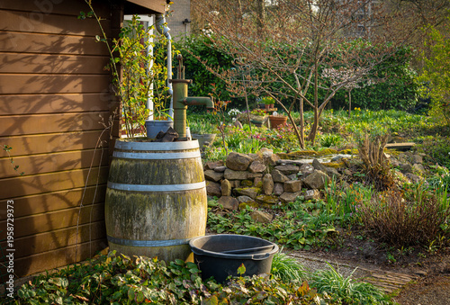 Rain Barrel with Pump in a Spring Garden, Eco-Friendly Rainwater Harvesting, Green Living Concept