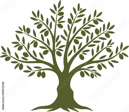 olive tree vector illustration