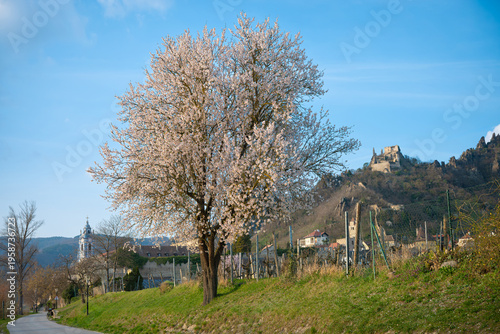 Donauradweg in der Wachau bei dürnstein