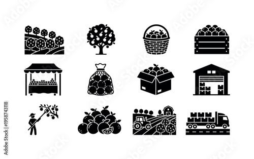 Citrus farm harvest and distribution icons representing the entire process