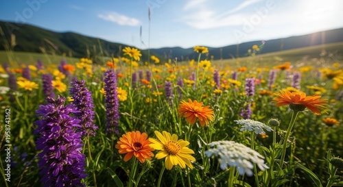 Vibrant Wildflower Meadow with Bright Colors and Scenic Mountain Background