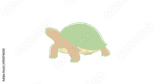 Turtle Walking on Land Slowly Alone.
