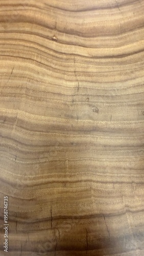 Natural warm wood surface with flowing grain and soft brown rings, rich texture and organic patterns-versatile for furniture, veneer, cabinetry, interiors, and design accents. plus