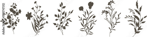 Black isolated silhouettes of bouquets of flowers, branches and leaves. Hand drawn vector botanical elements	
