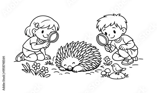 Echidna Exploration Adventure. Echidna roll with kids holding magnifying glasses, observing an echidna rolling on the ground,