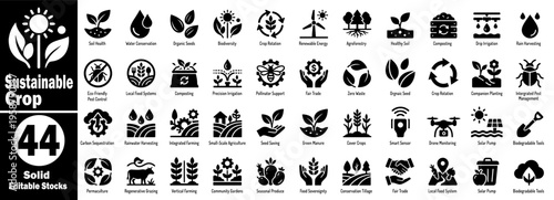 Sustainable crop solid icons set. Featuring squash blossom liner editable stocks for agriculture and nature design elements, with a variety of leaves and fruits outline vector illustration.