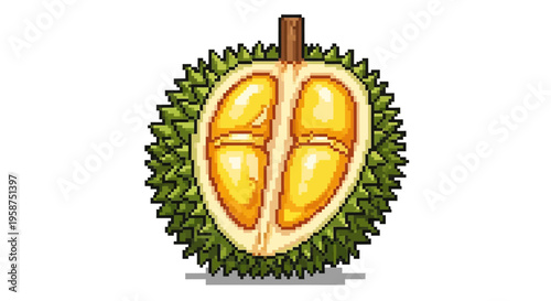 Illustration of a Durian Fruit Cut Open Showing Segments.