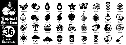 Tropical fruits farm solid icons. Collection featuring exotic harvest organic agriculture food production farming tools and healthy nature plant symbols vector illustration.