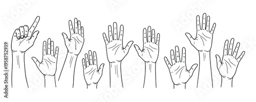 A group of birds standing on one leg in a line