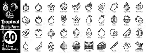 Tropical fruits farm liner editable icons. Isolated on a transparent background includes dragon fruit, passion fruit, and star fruit vector illustration.