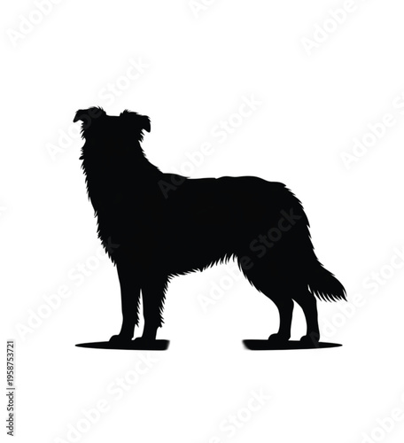 Black silhouette of a standing dog with long fur vector illustration EPS PNG file
